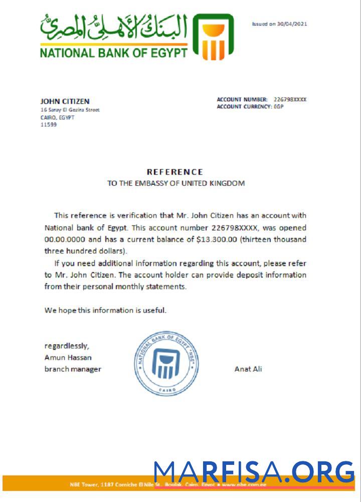 Realistic Egypt National Bank of Egypt reference real example